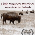 Poster little wounds warriors